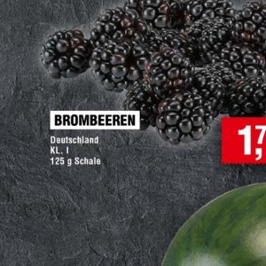 Brombeeren bei Handelshof