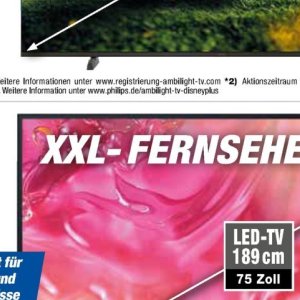 Fernseher sony  bei Techno-Land