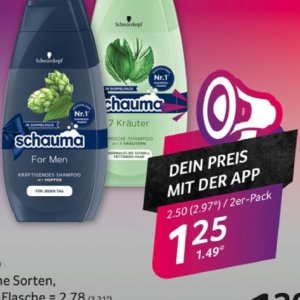 Shampoo bei Selgros