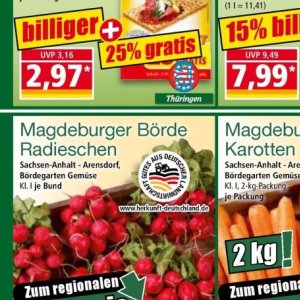 Radieschen bei Norma