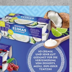 Joghurt bei Selgros