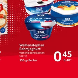 Joghurt bei Selgros