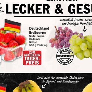 Erdbeeren bei AEZ