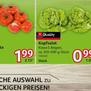 Kopfsalat bei Selgros