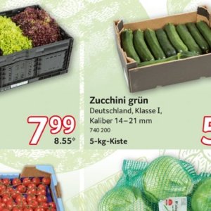 Zucchini bei Selgros