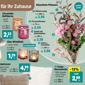 Pflanzen bei Thomas Philipps