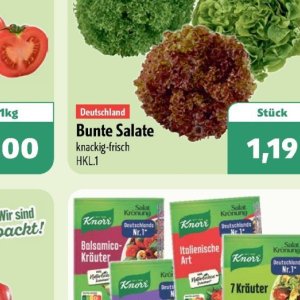 Salate knorr  bei Aktiv Irma