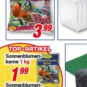 Top bei Centershop