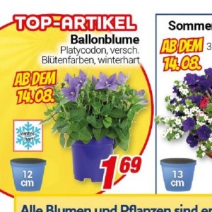 Top bei Centershop