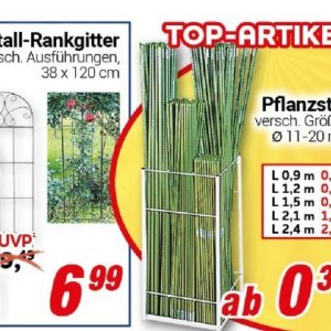 Top bei Centershop