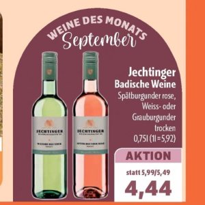 Rose bei Aktiv Irma