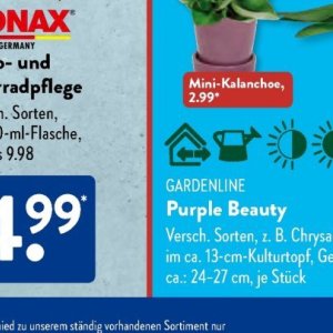 Gartengarnituren bei Aldi SÜD