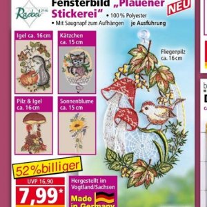 Sonnenblume bei Norma