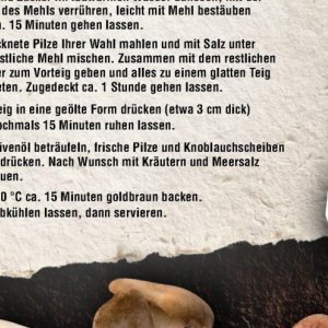 Pilze bei Handelshof