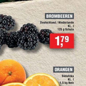 Brombeeren bei Handelshof