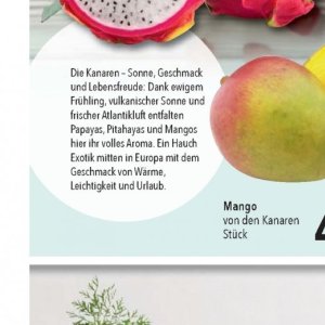   bei Citti Markt