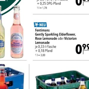 Rose bei Citti Markt