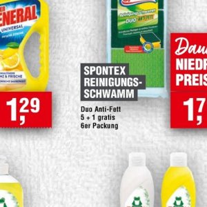 Schwamm bei Handelshof
