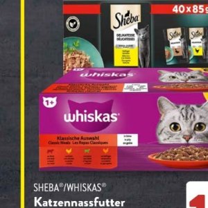   bei Aldi SÜD