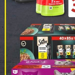   bei Aldi SÜD