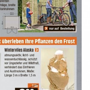Pflanzen bei V-Baumarkt
