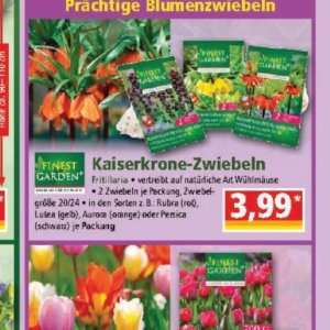Zwiebeln bei Norma