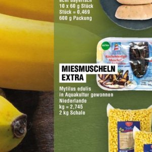 Miesmuscheln bei Handelshof