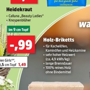 Kamine und Öfen bei Thomas Philipps