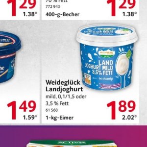 Joghurt danone  bei Selgros