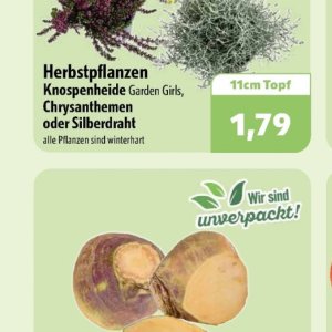Pflanzen bei Aktiv Irma