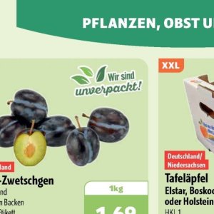 Pflanzen bei Aktiv Irma
