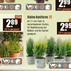 Balkon bei V-Baumarkt