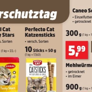  CAT bei Thomas Philipps