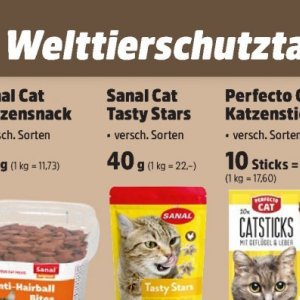  CAT bei Thomas Philipps