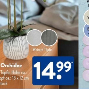 Töpfe bei Aldi SÜD