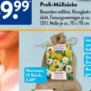 Pizza wagner wagner bei Aldi SÜD