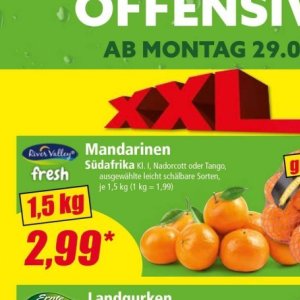 Mandarinen bei Norma