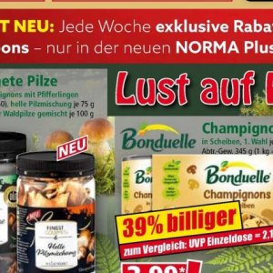   bei Norma