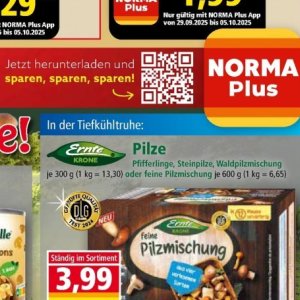 Pilze bei Norma