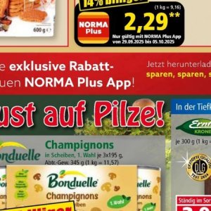 Pilze bei Norma