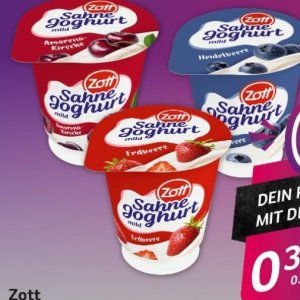Joghurt bei Selgros