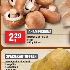 Champignons bei Handelshof