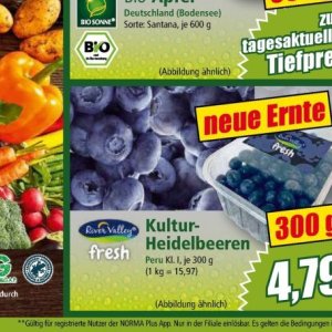 Heidelbeeren bei Norma
