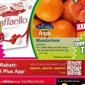 Mandarinen bei Norma