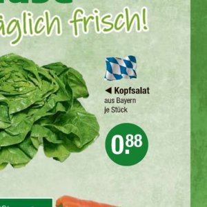 Kopfsalat bei V-Markt