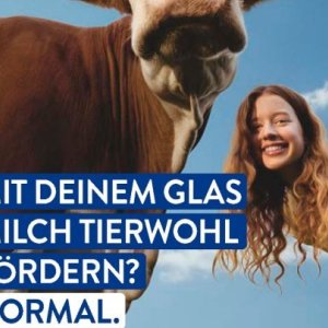 Glas bei Aldi SÜD
