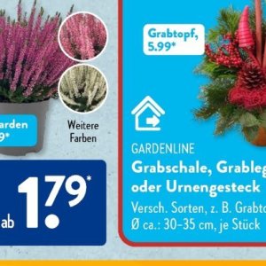 Gartengarnituren bei Aldi SÜD