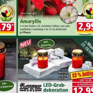 Batterien bei Norma