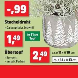 Zement bei Thomas Philipps