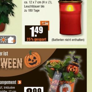 Batterien bei V-Baumarkt